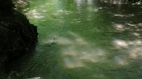 Travel to Meshoko (Republik of Adygea)