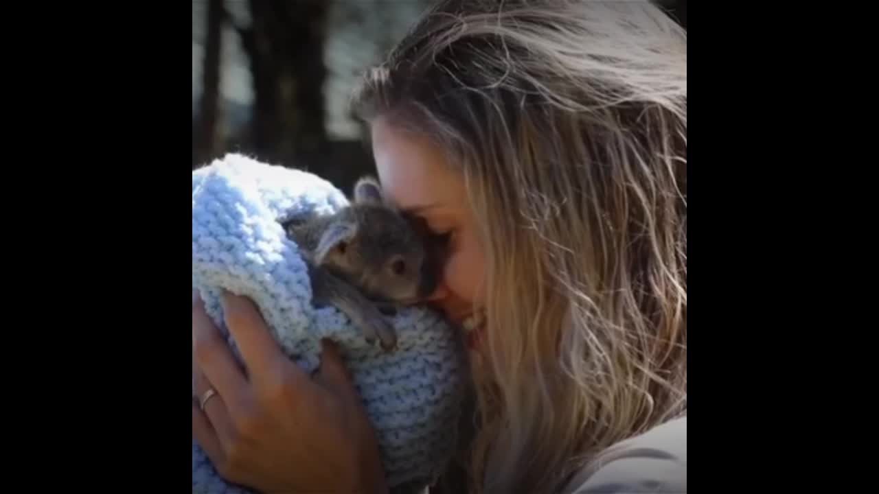 Koala baby is very beautiful ❄️🐨