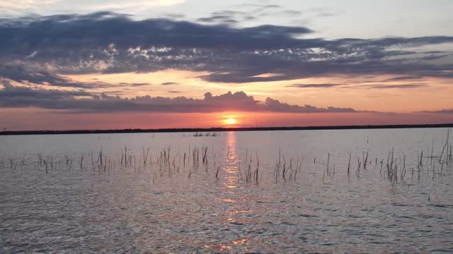 Fly Fishing for White Bass | Catching Fish Every Cast!