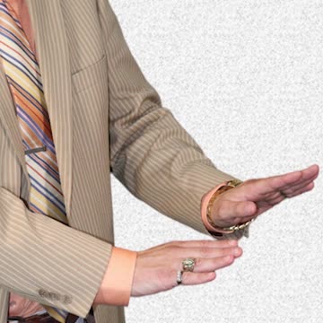 ¡Gestos con las manos de negocios! Este significa "todo"