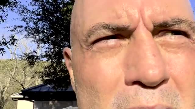 Joe Rogan's Response to Drama.