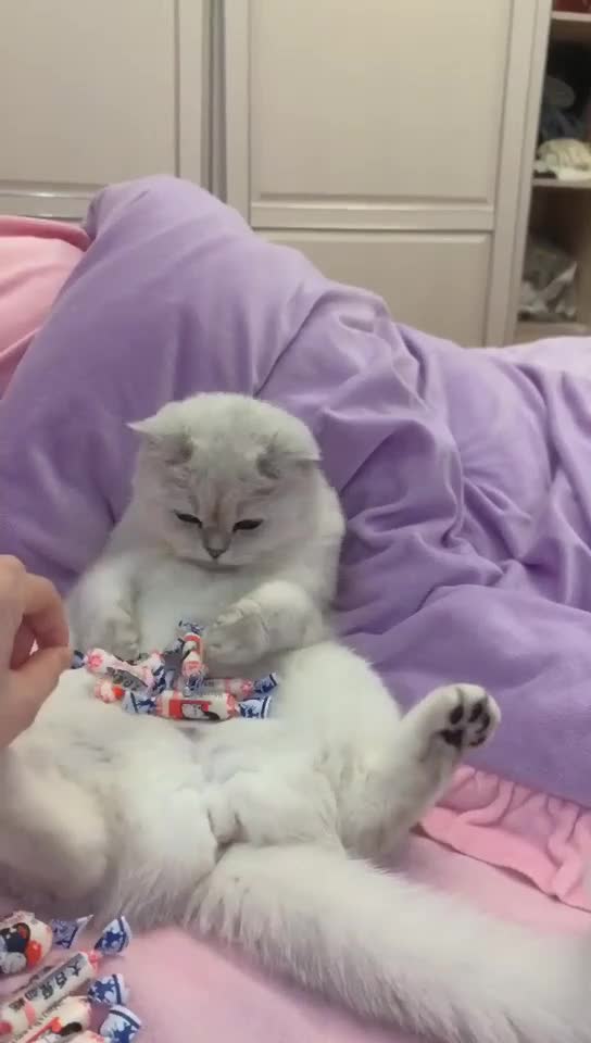 Don't touch my Candys