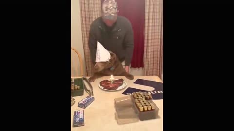 Clyde the dog gets a HUGE steak for its 7th birthday