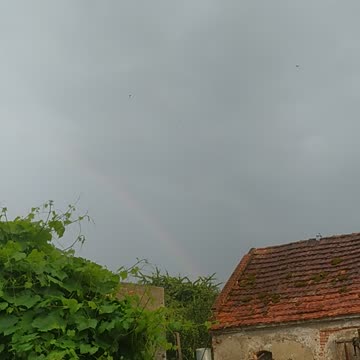Rain and rainbow, can you see it? 🌈