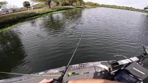 BED Fishing Ultra CLEAR Lake! (WE FOUND THEM)