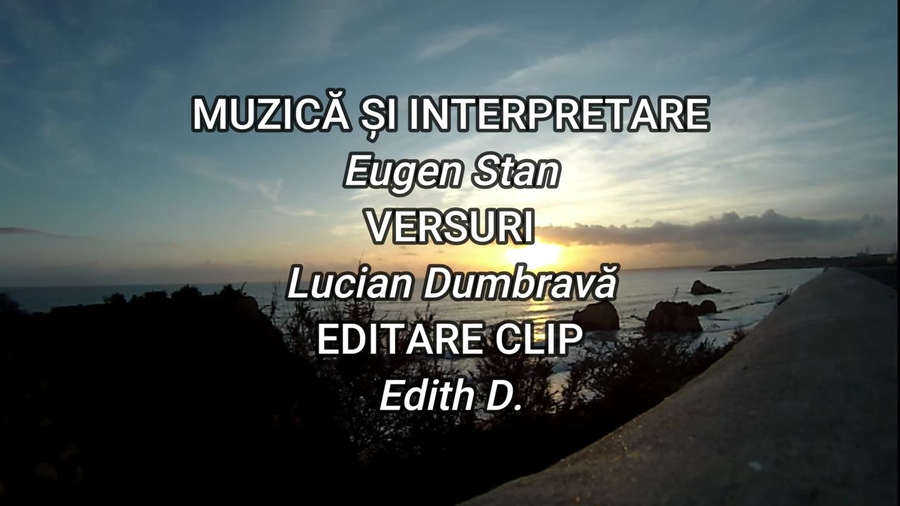 Eugen Stan - Cine?...