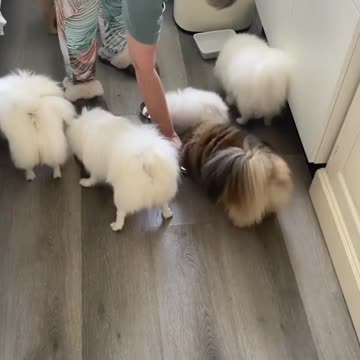 Hurry up Mom! We are hungry 😋