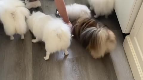 Hurry up Mom! We are hungry 😋