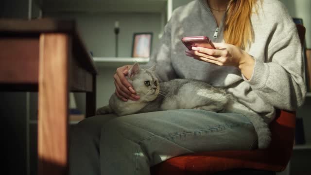 Woman petting cat and using smartphone