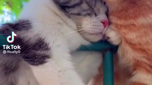 What a love subscribe for more videos