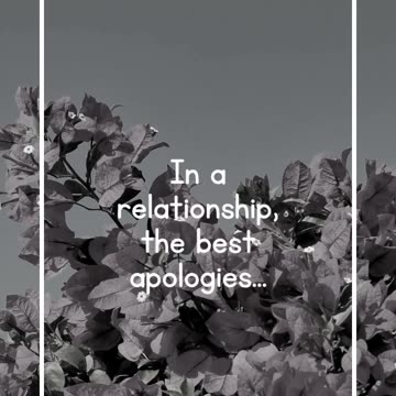In a relationship, the best apologies...