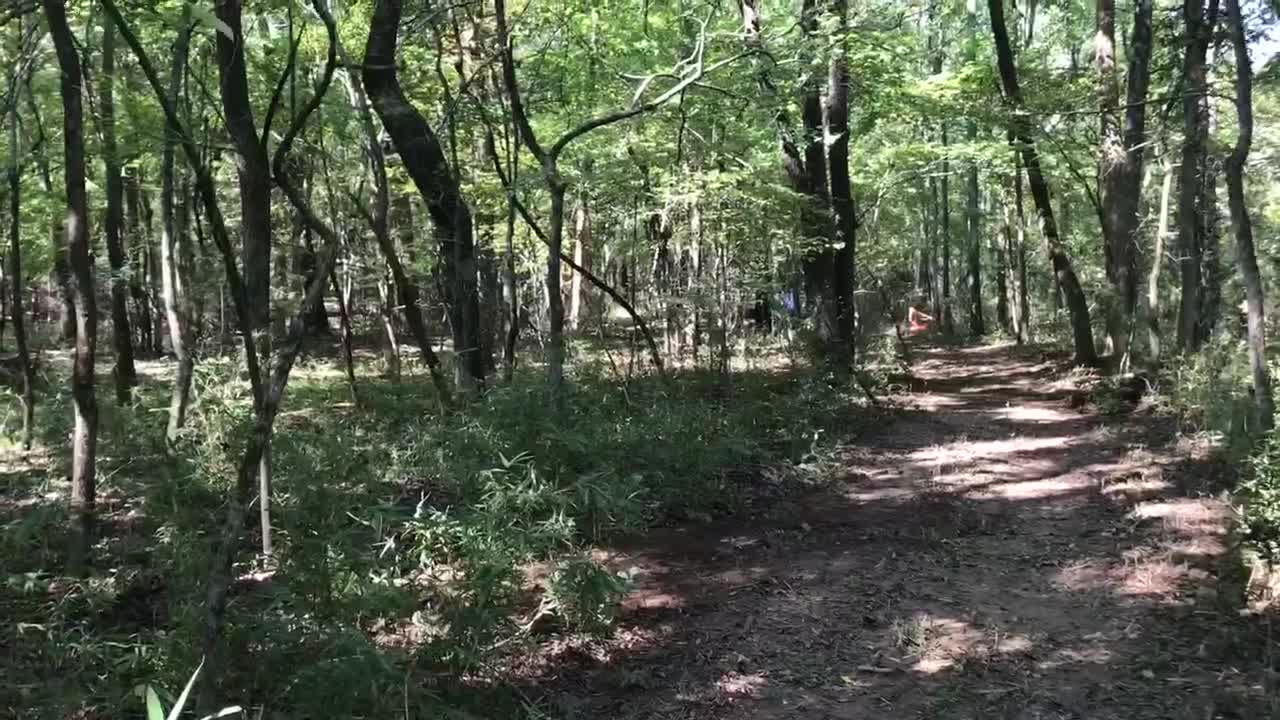 Firewood season at the ranch