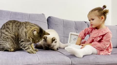 Cute Baby and Two Hungary cats