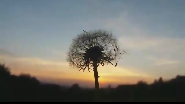 beautiful evening