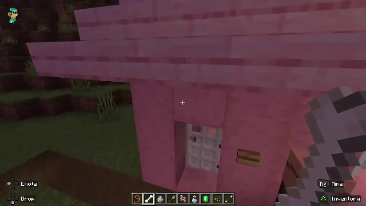 Esmu meitene, kura spēlē dažādas Online spēles tai skaitā arī #minecraft kur būvēju savu pasauli.