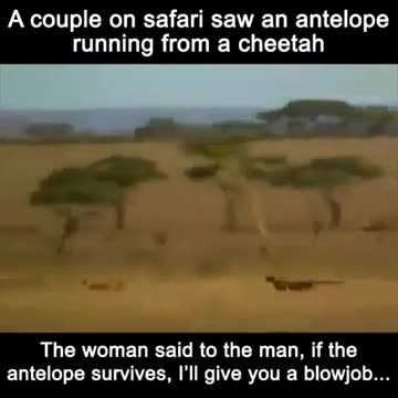 Ok, now this is just funny