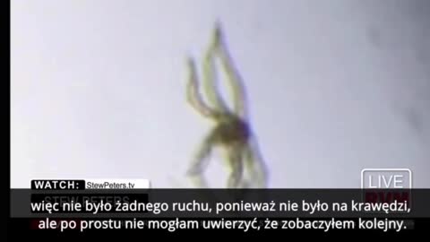 🔴DR. CARRIE MADEJ i analiza próbki zastrzyku