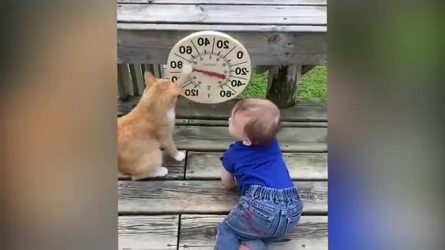 Cutest Babies Play with Dogs And Cats compilation