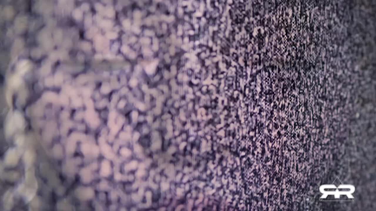 Incoming Carbon Taxes and Worldwide Climate Lockdowns