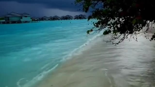 Beautiful sea beach