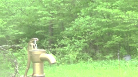 Tarzan World: June 1st, 2022 - Update