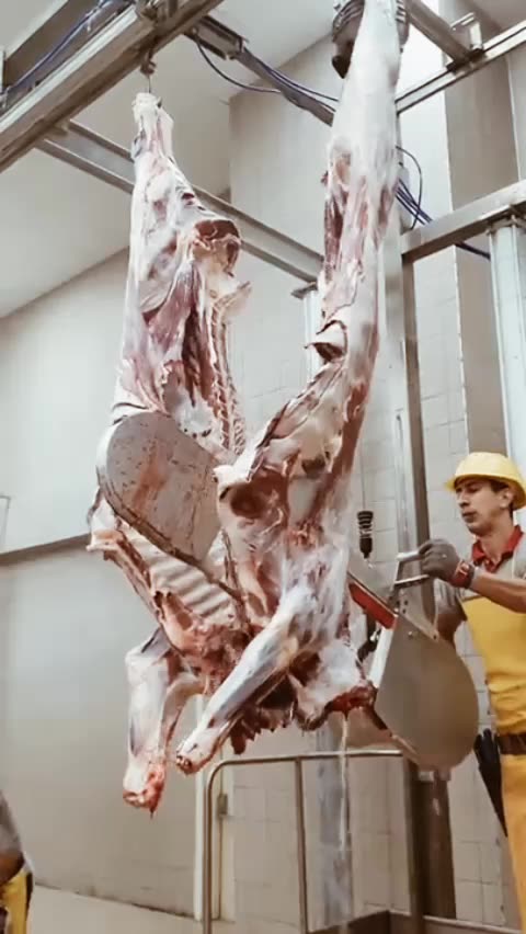 What is this ?? 😧😧😧 Watch till follow plz