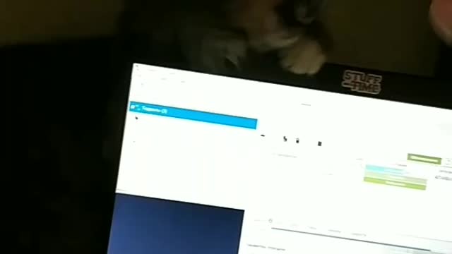The cat is played with the charger
