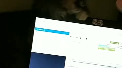 The cat is played with the charger
