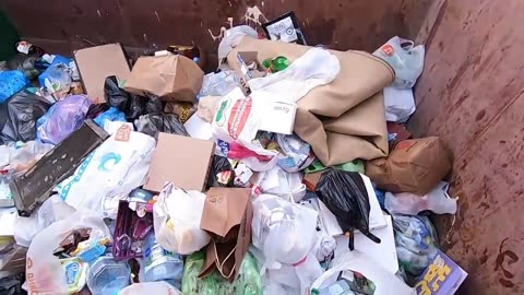 Как я зарабатываю лазая по мусоркам Питера ? Dumpster Diving RUSSIA #2