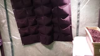 the start of my indoor basement greenhouses