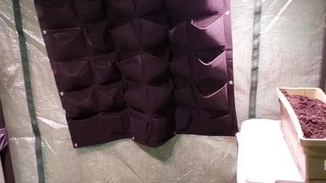 the start of my indoor basement greenhouses
