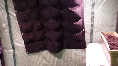 the start of my indoor basement greenhouses