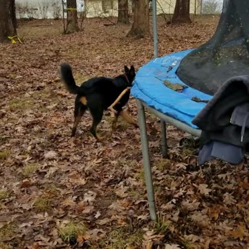 The stick will fit...