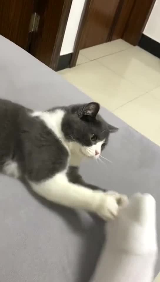 Kitty is so lovely ❤️