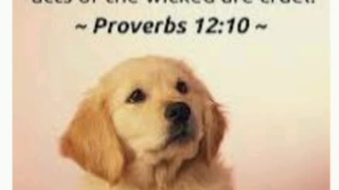 G-D (GOD) ENTRUSTED PETS TO OUR CARE, AS STEWARDS OF HIS CREATION - Genesis 1 : 26.