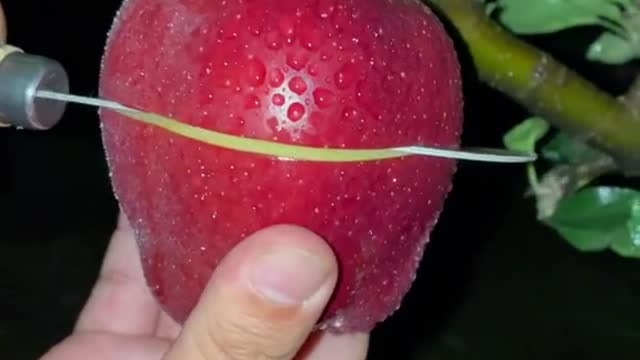 funny|prank|jokes|funny jokes|dad jokes|funny memes|funny video|fun|laughing|funny animal|knock