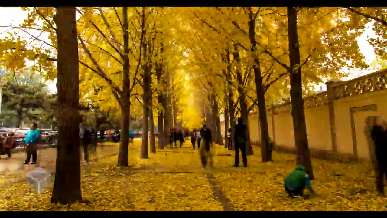 Beijing in 4K and Time Lapsed