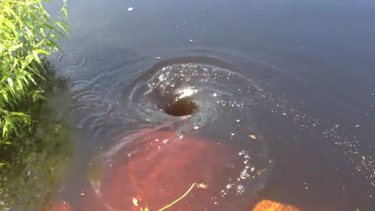 We Found a Water Vortex!