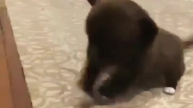 Lovely little guy