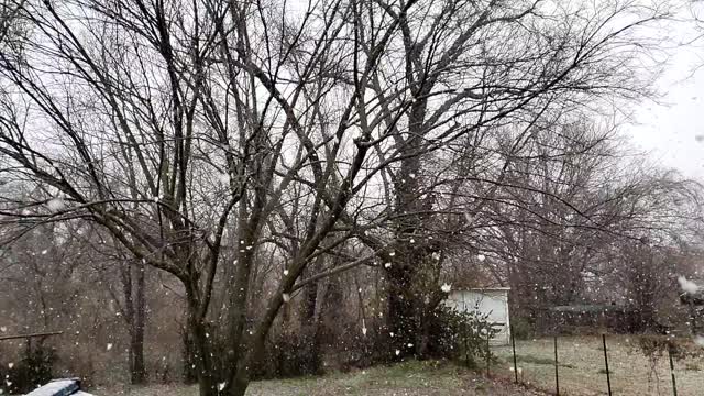 SLOW MO SNOW