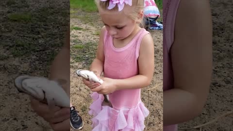 Adorable and cute kids playing with pets