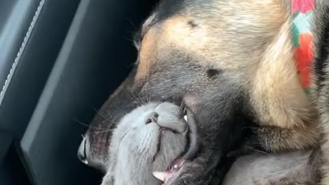 When you're hungry but also very sleepy