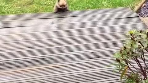Very funny 🤣🤣 video