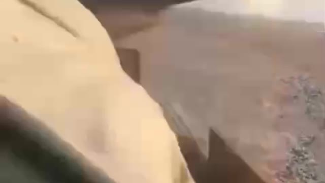 Ukrainian artillery kills Russian shit.