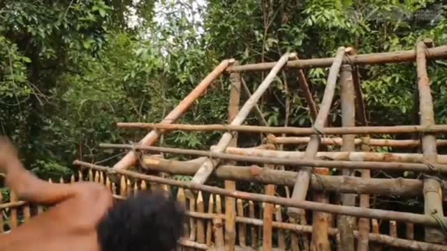 Forest home | Indian forest home