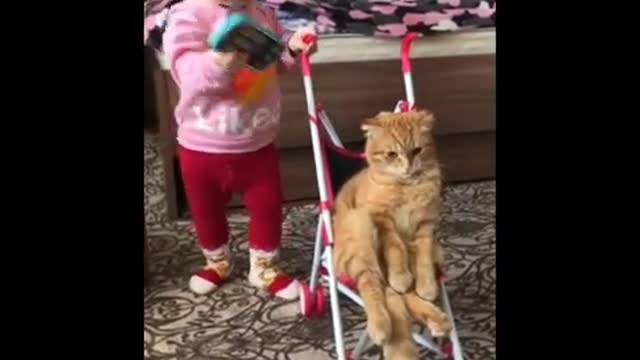 AWW Animals SOO Cute! Videos Compilation cutest and funniest moment of the animals #33