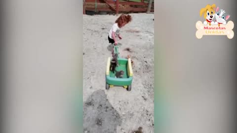 Baby And Cat 🙀 Fun And Fails ⛔ Funny Baby Video 🍭👶