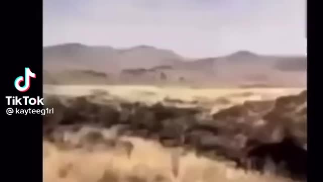 Masonic temples exposed hidden footage