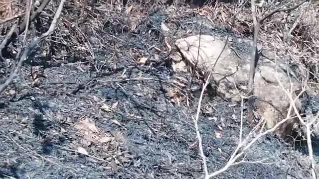 El sol habría generado el efecto lupa en las botellas de vidrio, produciendo las llamas.