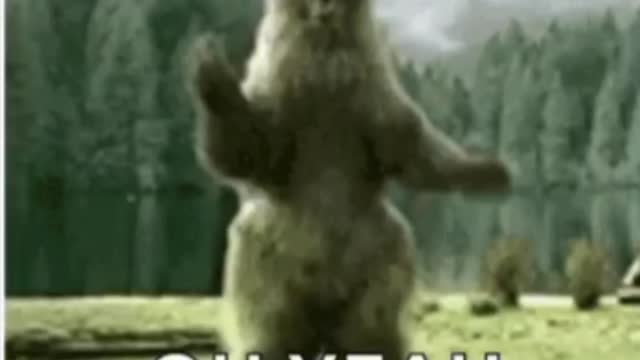 EVERYONE NEEDS A SMILE